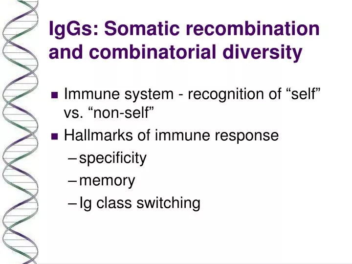 iggs somatic recombination and combinatorial diversity