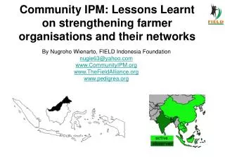 Community IPM: Lessons Learnt on strengthening farmer organisations and their networks