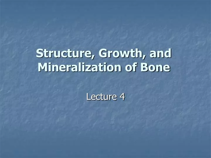 structure growth and mineralization of bone