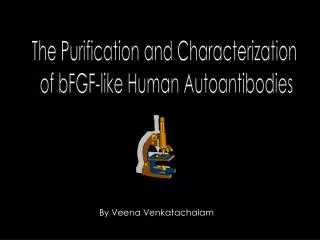 The Purification and Characterization of bFGF-like Human Autoantibodies
