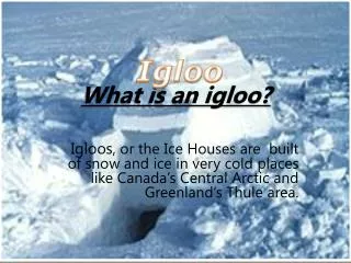 What is an igloo?