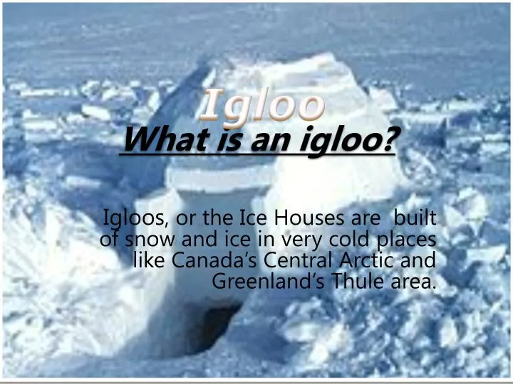 what is an igloo