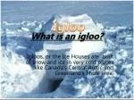 What is an igloo? - slide 1