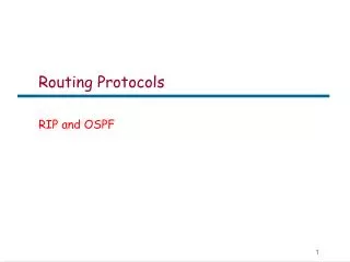 Routing Protocols