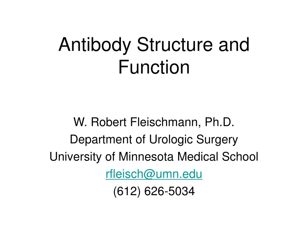 PPT - Antibody Structure and Function PowerPoint Presentation, free ...
