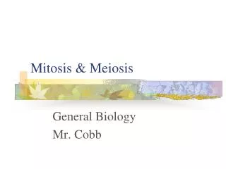 Mitosis &amp; Meiosis