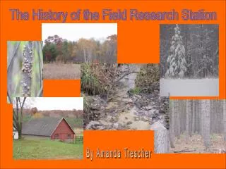 The History of the Field Research Station