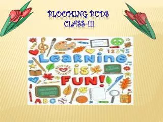 Blooming Buds 			CLASS-III