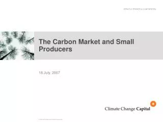 The Carbon Market and Small Producers