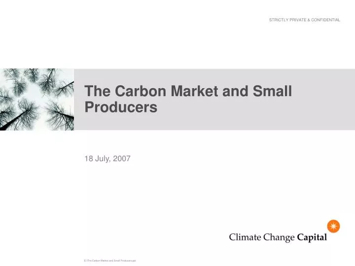 the carbon market and small producers