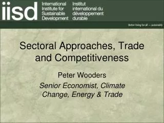 Sectoral Approaches, Trade and Competitiveness