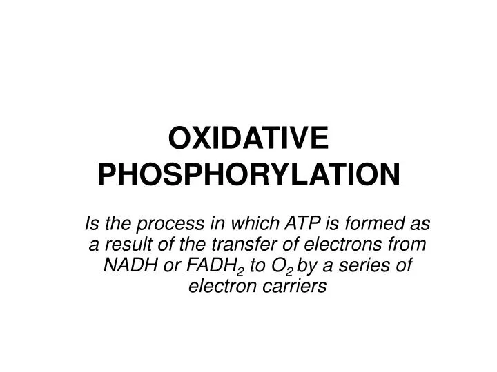 oxidative phosphorylation
