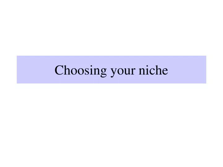 choosing your niche