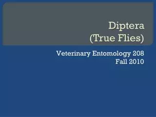 Veterinary Entomology 208 Fall 2010