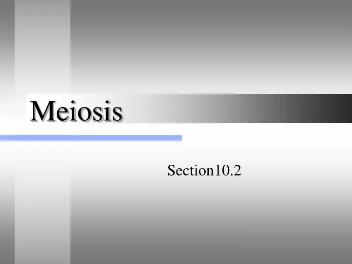 meiosis