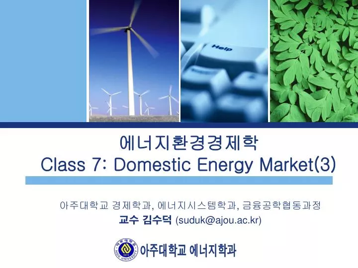 class 7 domestic energy market 3