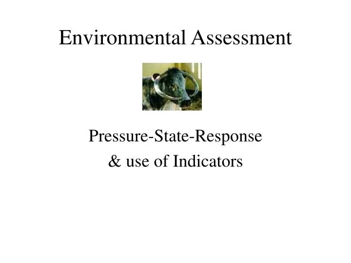 environmental assessment
