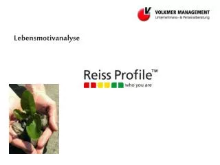 lebensmotivanalyse