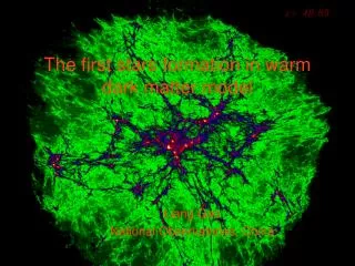The first stars formation in warm dark matter model