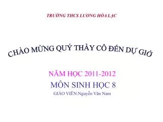tr ng thcs l ng h a l c
