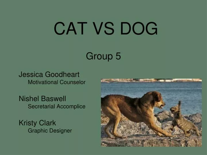 cat vs dog group 5