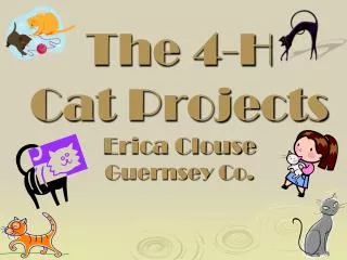 The 4-H Cat Projects Erica Clouse Guernsey Co.