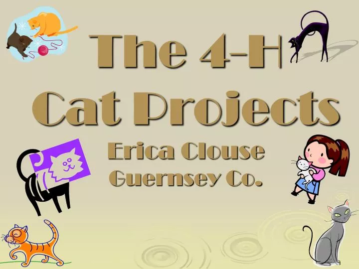 the 4 h cat projects erica clouse guernsey co