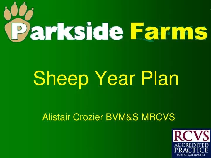 sheep year plan