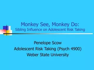 Monkey See, Monkey Do: Sibling Influence on Adolescent Risk Taking