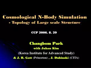 Cosmological N-Body Simulation - Topology of Large scale Structure