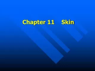 Chapter 11 Skin