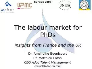 The labour market for PhDs insights from France and the UK