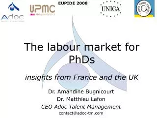 the labour market for phds insights from france and the uk