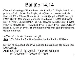 b i t p 14 14