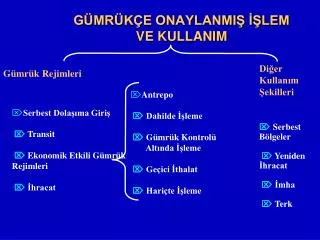 g mr k e onaylanmi lem ve kullanim