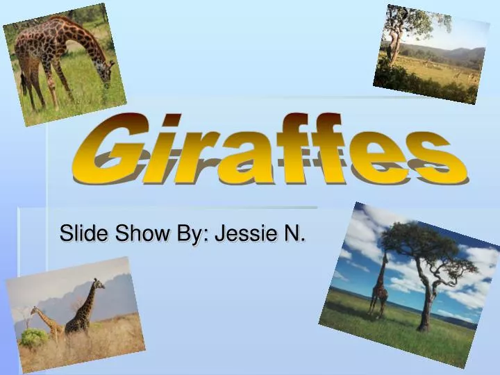 slide show by jessie n