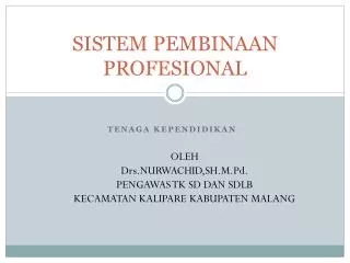 sistem pembinaan profesional