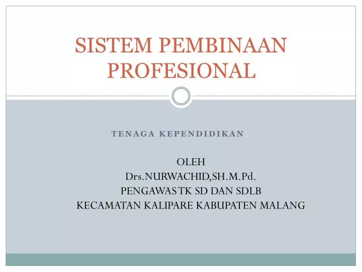sistem pembinaan profesional