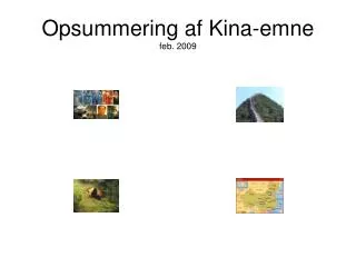 opsummering af kina emne feb 2009
