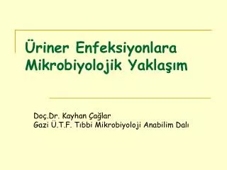 riner enfeksiyonlara mikrobiyolojik yakla m