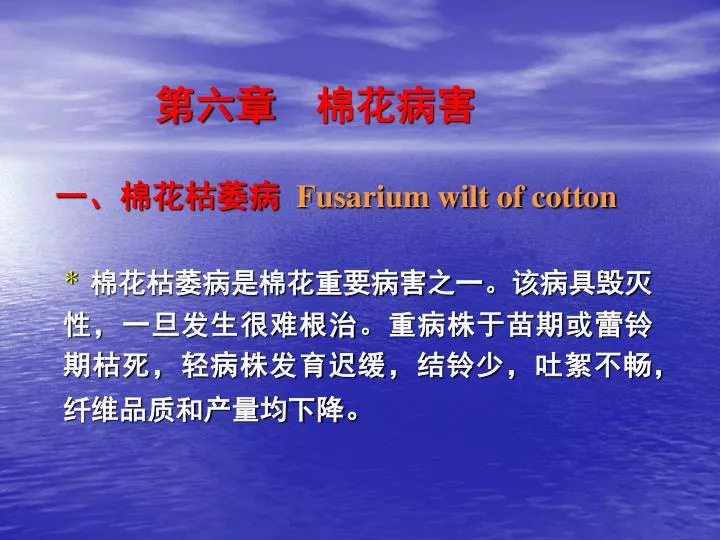 fusarium wilt of cotton