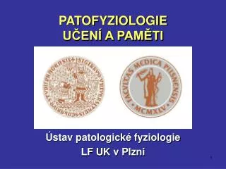 patofyziologie u en a pam ti