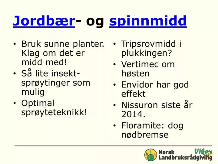 jordb r og spinnmidd