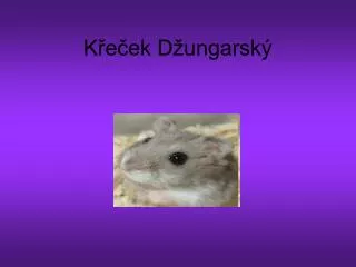 k e ek d ungarsk