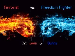 Terrorist vs. Freedom Fighter