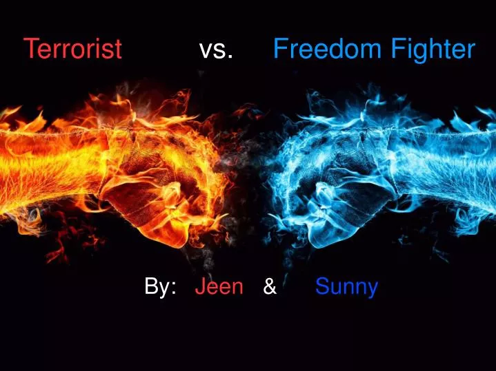 terrorist vs freedom fighter