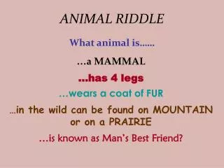 ANIMAL RIDDLE
