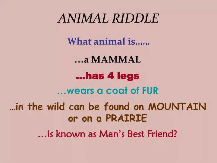 animal riddle