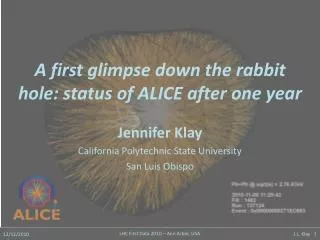 A first glimpse down the rabbit hole: s tatus of ALICE after one year