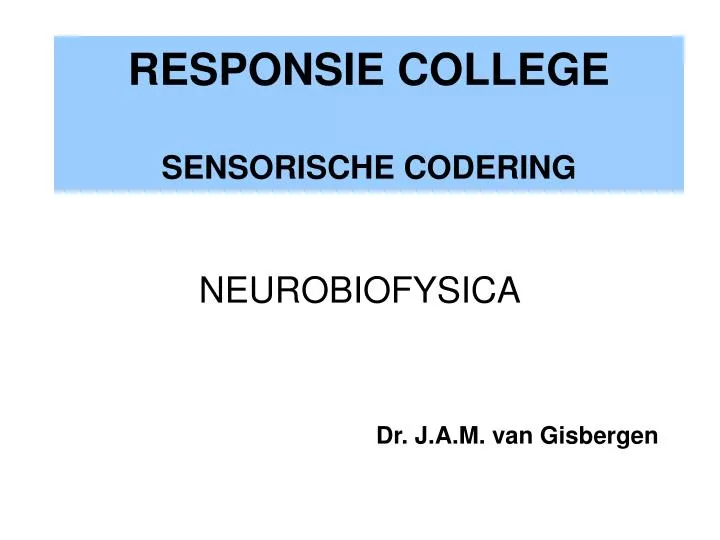 responsie college sensorische codering